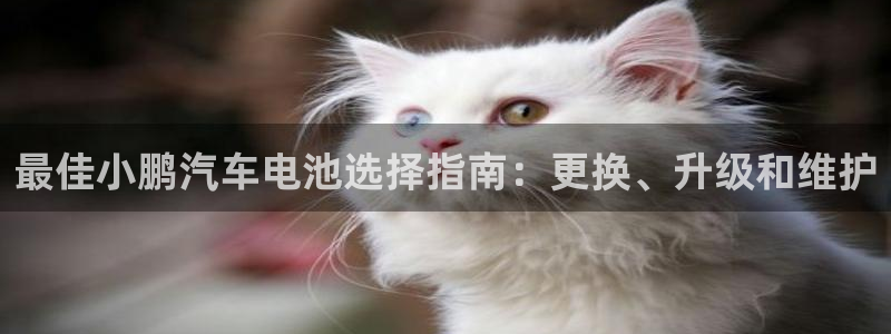 优发国际手机登录下载安装苹果