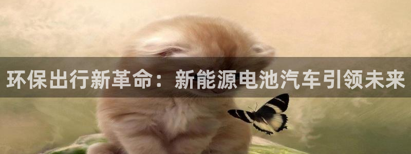 优发国际集团股份有限公司招聘