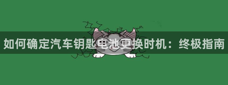 优发国际游戏官网：如何确定汽车钥匙电池更