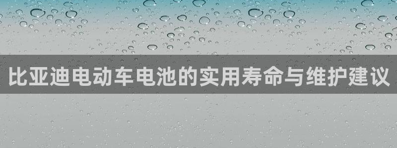优发国际的官网是正品吗：比亚迪电动车电池