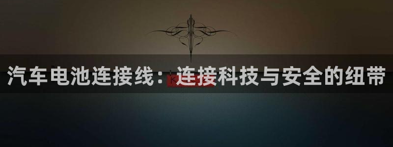 优发国际游戏17岁能玩吗：汽车电池连接线：连接科技与安全的纽带