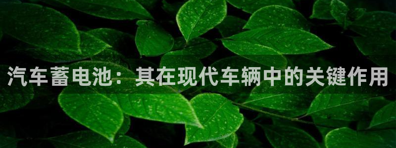 优发国际官网手：汽车蓄电池：其在现代车辆