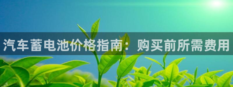 优发国际平台手机版下载安装：汽车蓄电池价
