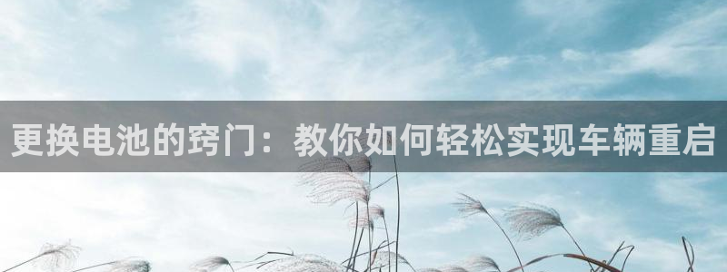 优发国际网官网17w8