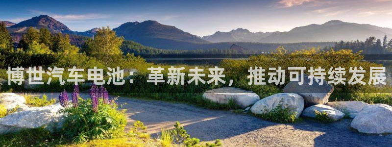 优发国际是合法的吗：博世汽车电池：革新未来，推动可持续发展