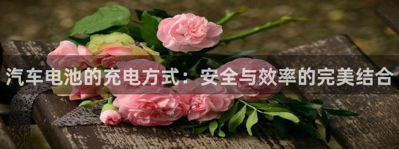 优发国际手机版网站下载：汽车电池的充电方式：安全与效率的完美结合