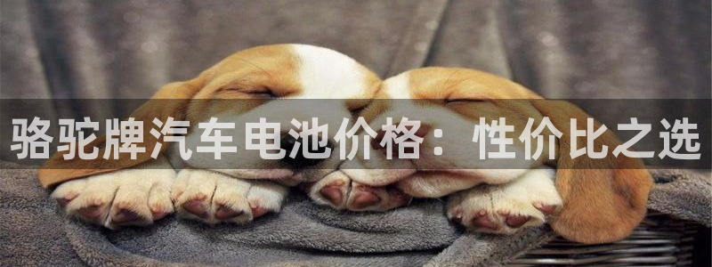 优发国际官网手机版下载