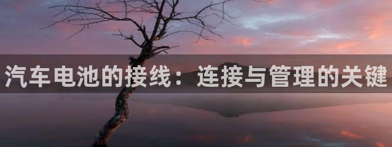 优发国际手机版下载安装