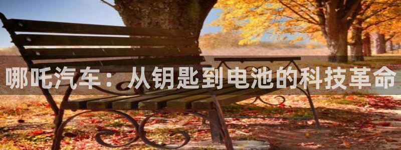 优发国际官网手机版：哪吒汽车：从钥匙到电池的科技革命