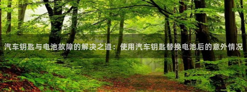 优发国际的官网是什么：汽车钥匙与电池故障