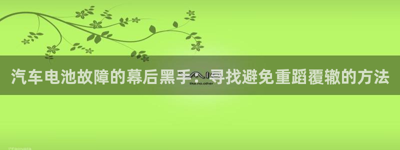 优发国际平台18岁能做吗：汽车电池故障的幕后黑手：寻找避免重蹈覆辙的方法