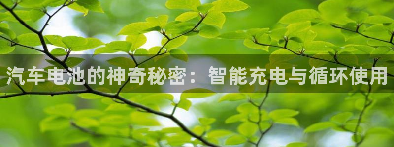 优发国际官网手：汽车电池的神奇秘密：智能